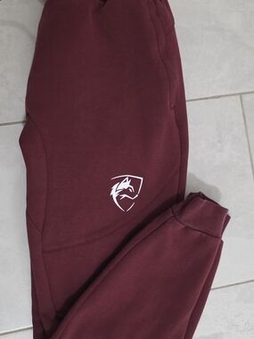 Alphalete  Maroon Joggers